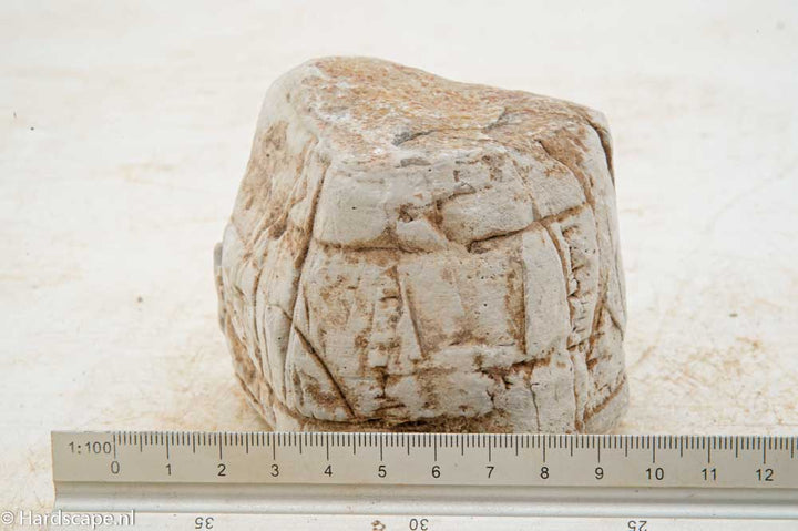 Elephant Skin Rock M158
