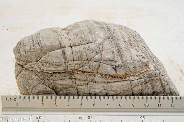 Elephant Skin Rock M159