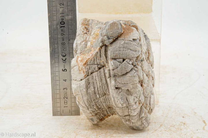 Elephant Skin Rock M160