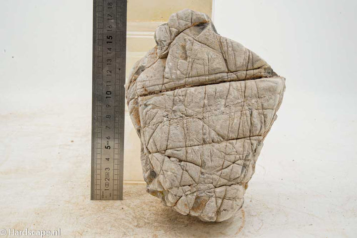 Elephant Skin Rock XL151