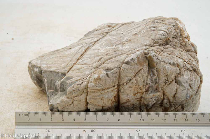 Elephant Skin Rock XL151