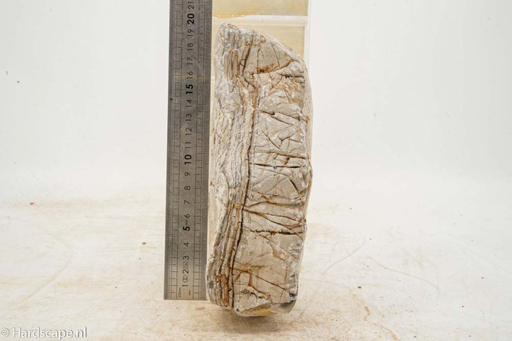 Elephant Skin Rock XL152
