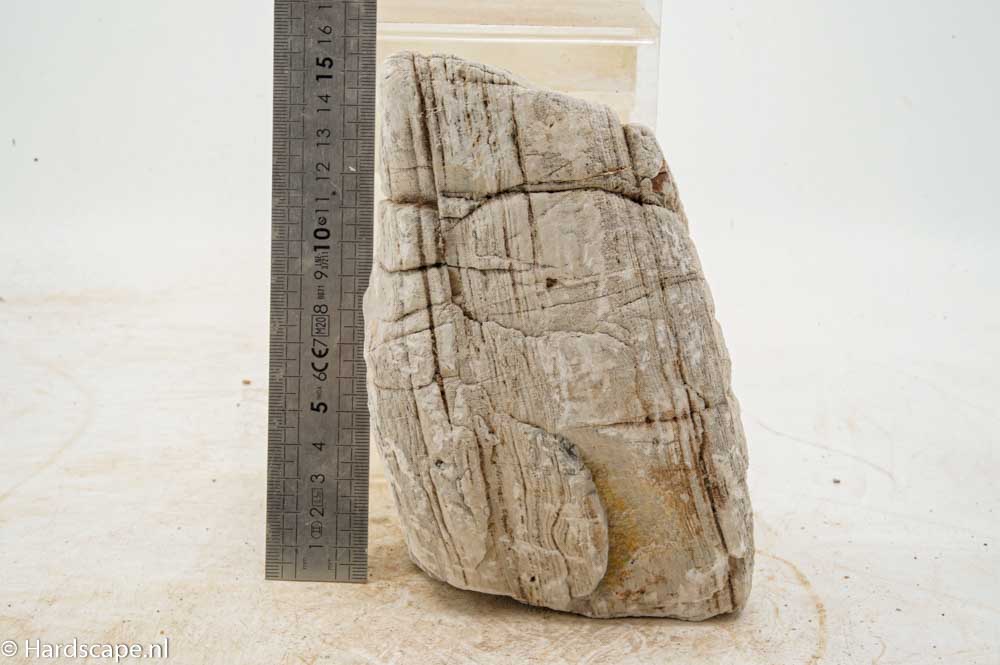 Elephant Skin Rock XL153