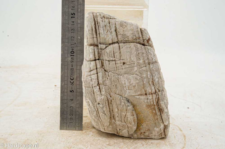 Elephant Skin Rock XL153