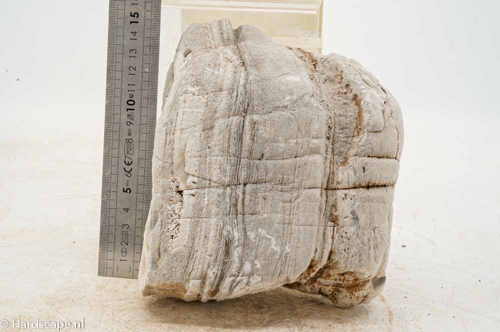 Elephant Skin Rock XL154