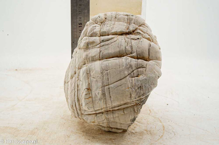 Elephant Skin Rock XL156