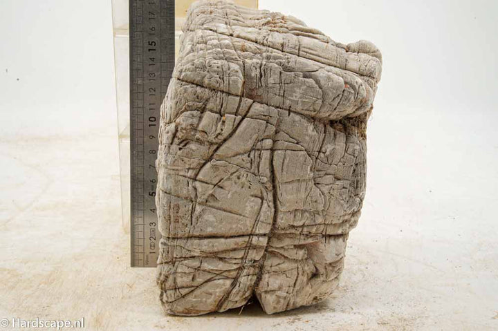Elephant Skin Rock XL158