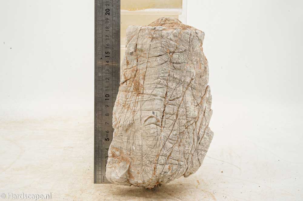 Elephant Skin Rock XL159