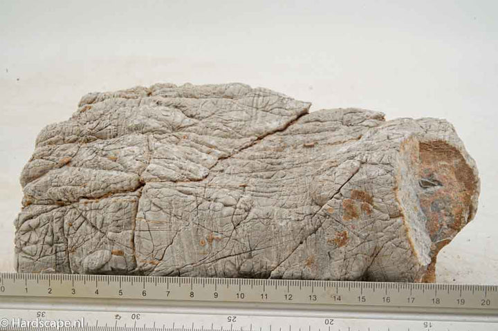 Elephant Skin Rock XL159