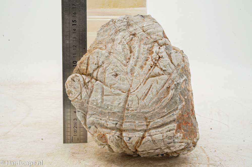 Elephant Skin Rock XL161