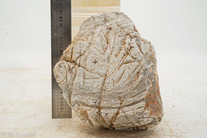 Elephant Skin Rock XL161