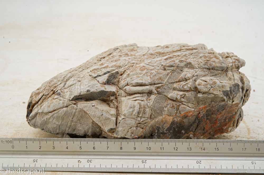 Elephant Skin Rock XL161