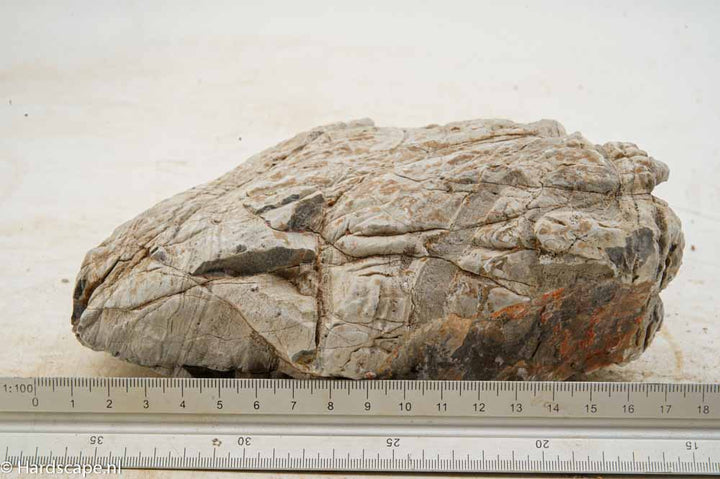 Elephant Skin Rock XL161