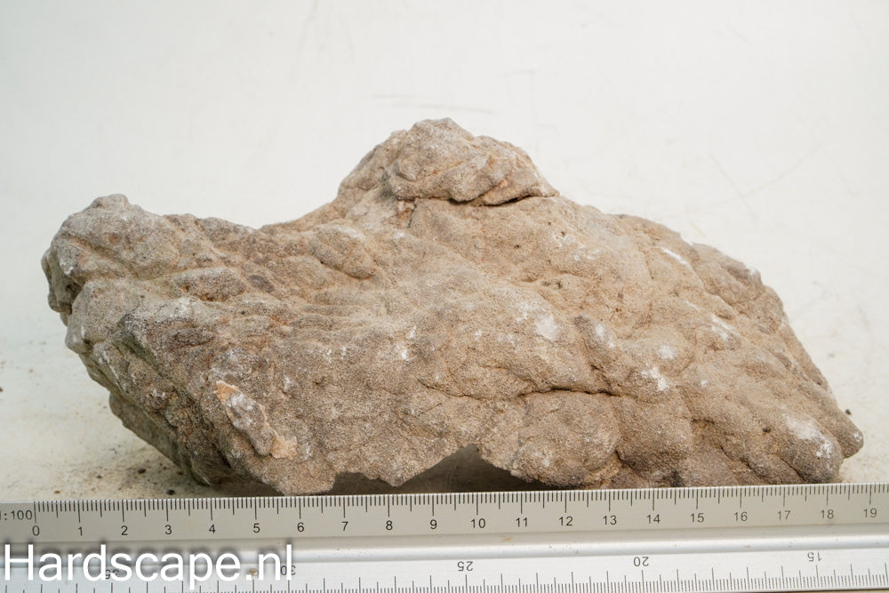 Elephant Skin Rock L100 - Hardscape.nl