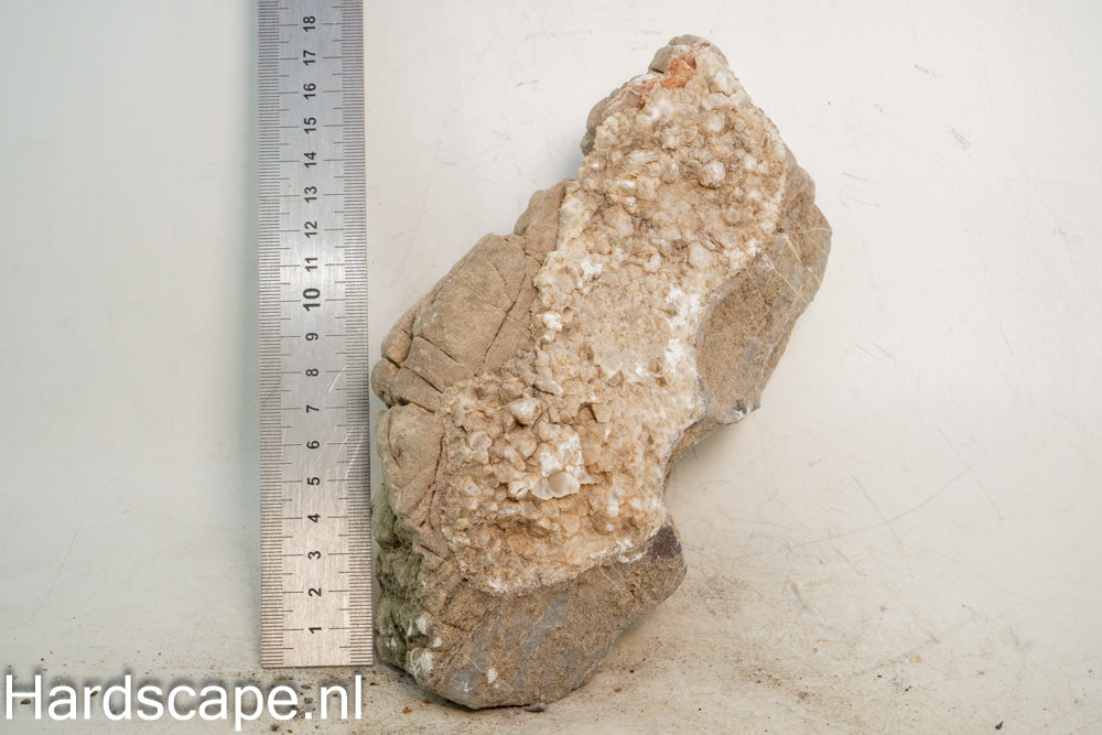 Elephant Skin Rock L108 - Hardscape.nl