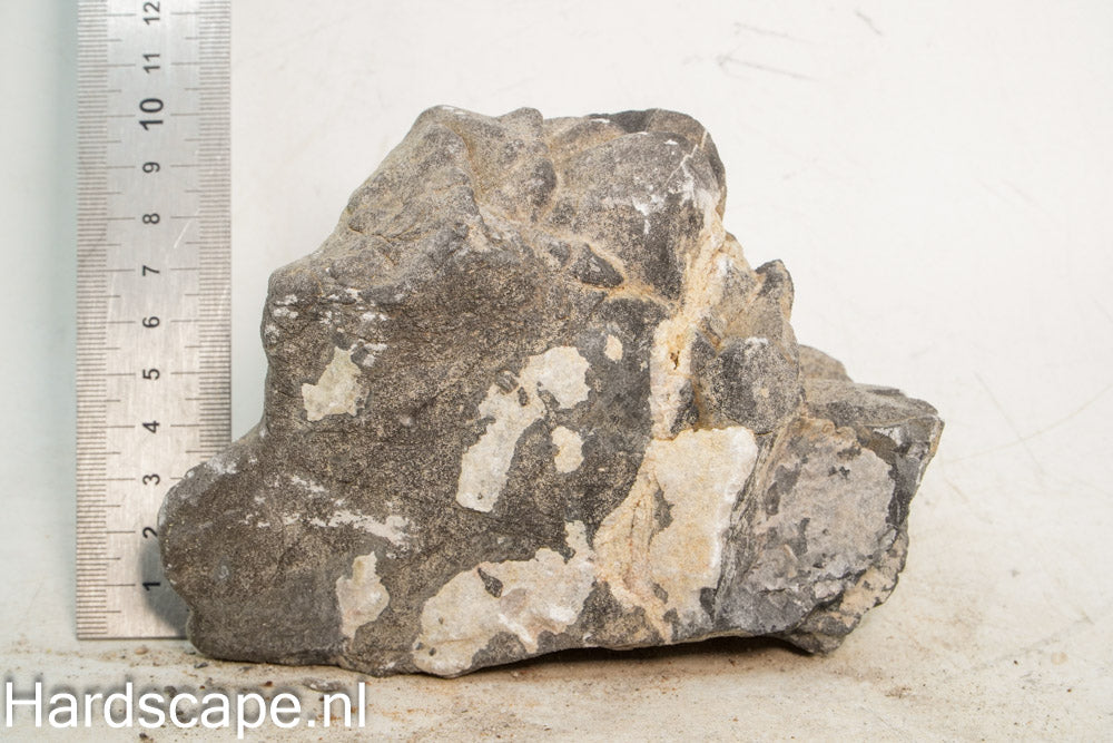 Elephant Skin Rock L111 - Hardscape.nl