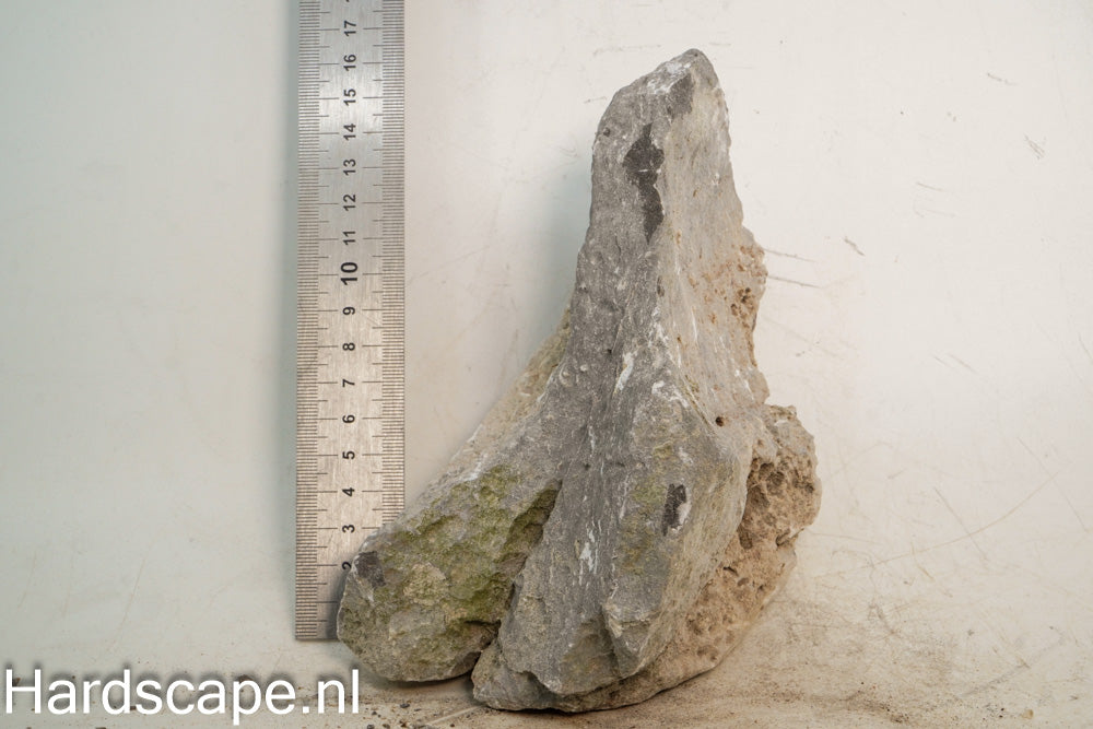 Elephant Skin Rock L118 - Hardscape.nl