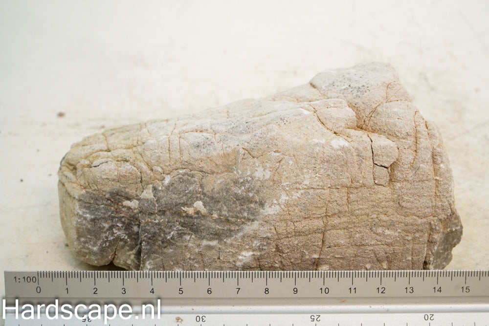 Elephant Skin Rock L119 - Hardscape.nl