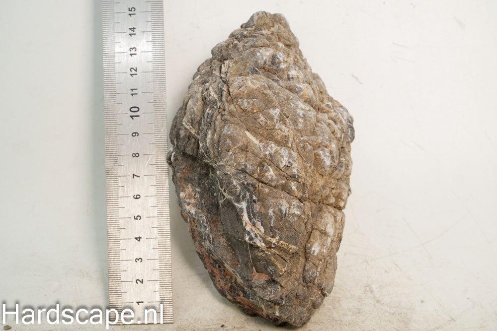 Elephant Skin Rock L121 - Hardscape.nl