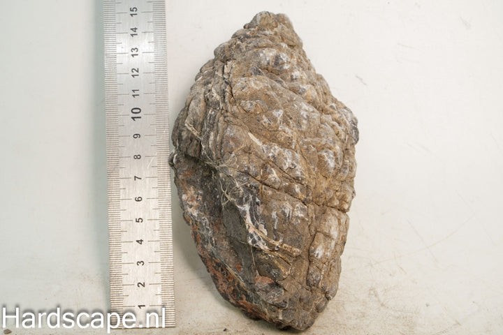 Elephant Skin Rock L121 - Hardscape.nl