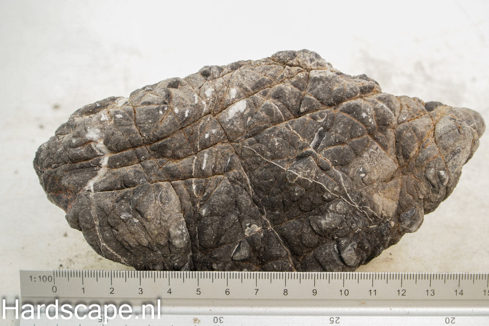 Elephant Skin Rock L121 - Hardscape.nl