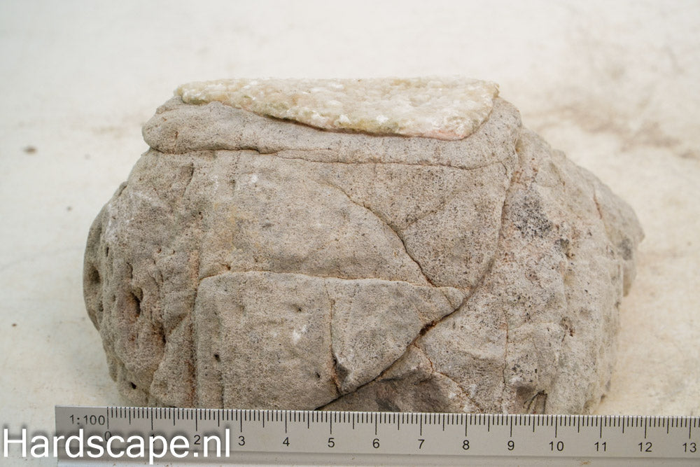 Elephant Skin Rock L130 - Hardscape.nl