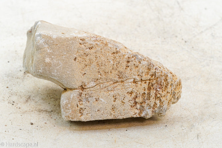 Elephant Skin Rock M130