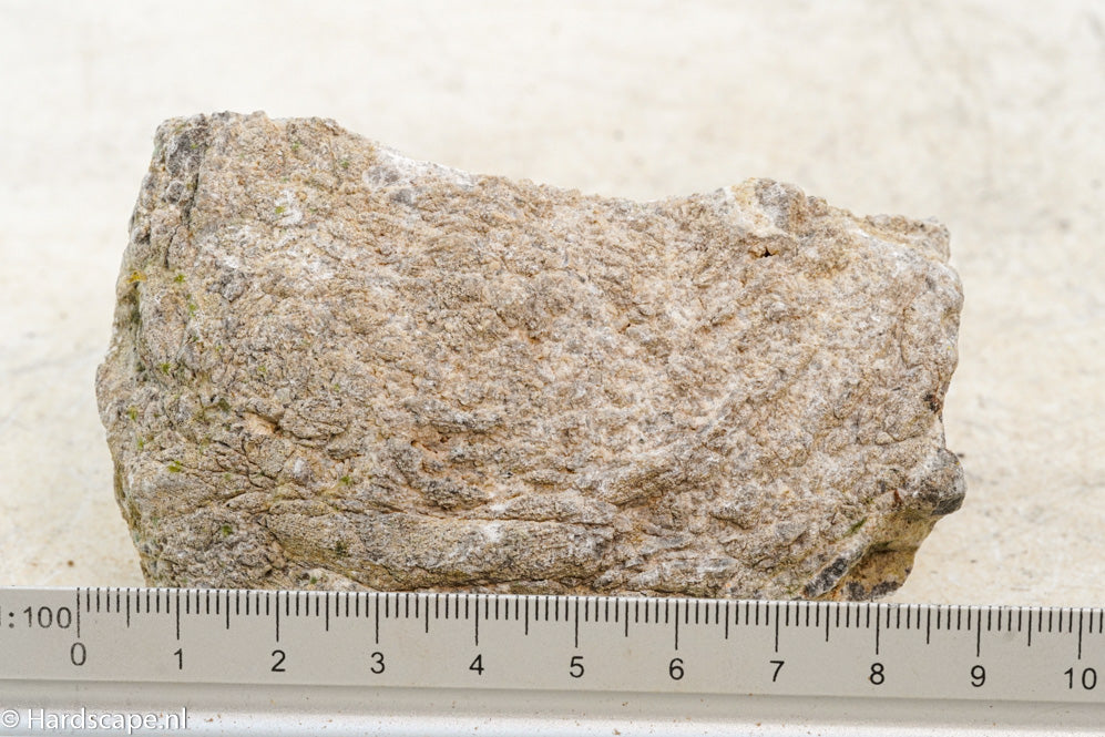 Elephant Skin Rock S60 - Hardscape.nl