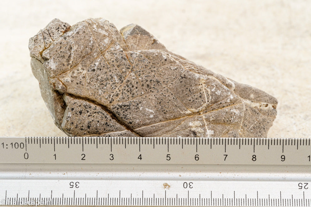 Elephant Skin Rock S62 - Hardscape.nl