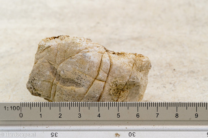 Elephant Skin Rock S63