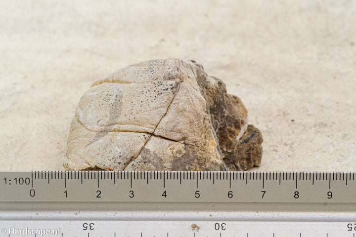 Elephant Skin Rock S63