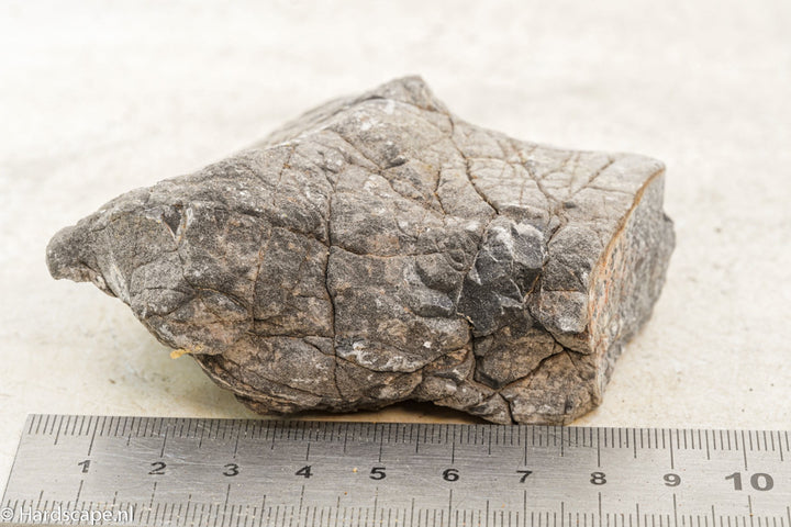 Elephant Skin Rock S64 - Hardscape.nl