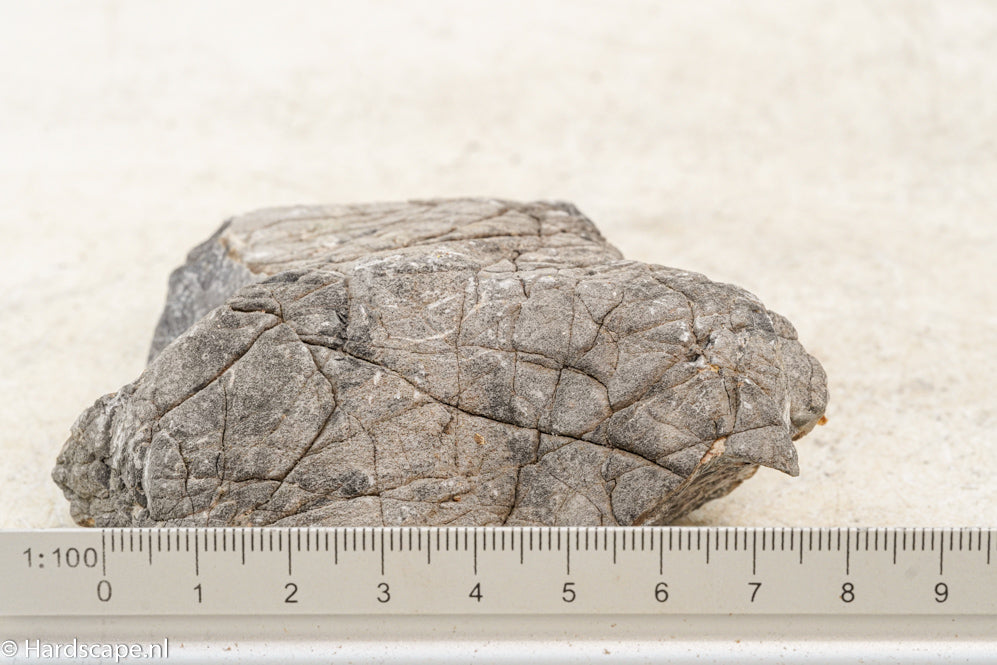 Elephant Skin Rock S64 - Hardscape.nl