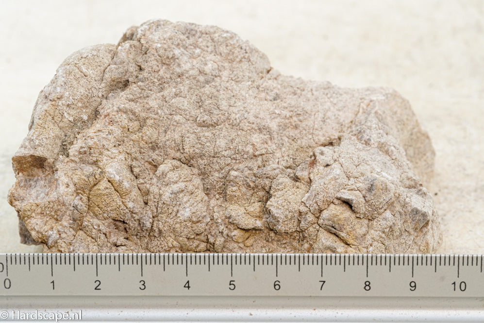 Elephant Skin Rock S65 - Hardscape.nl