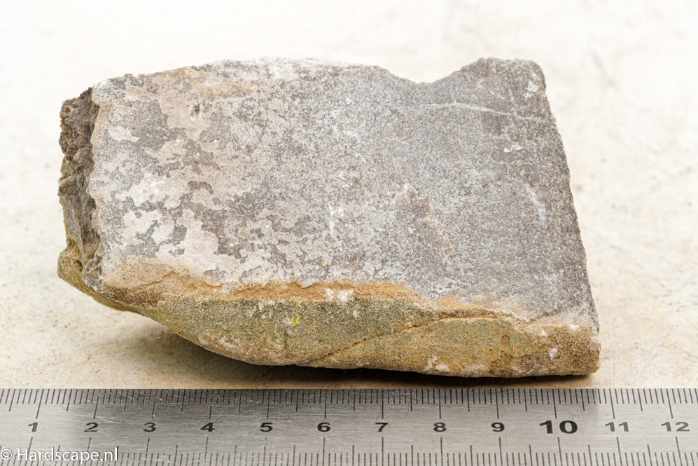 Elephant Skin Rock S66