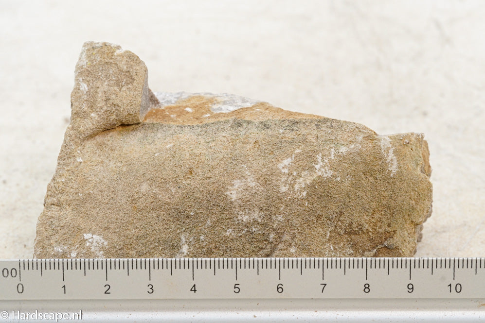 Elephant Skin Rock S66