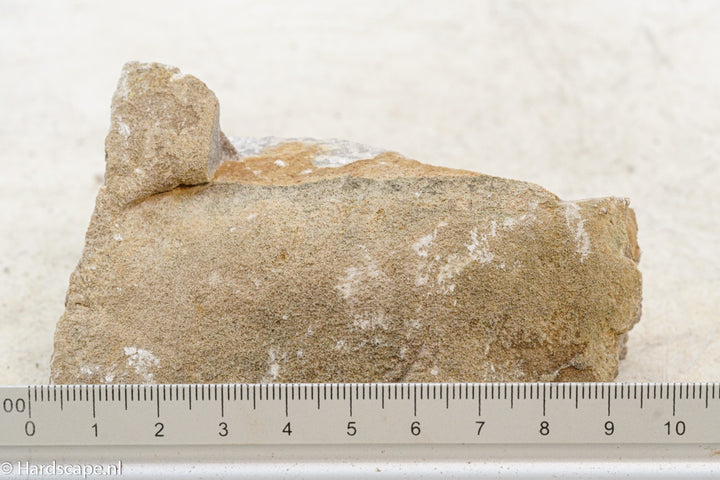 Elephant Skin Rock S66