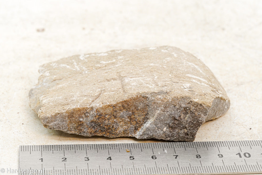 Elephant Skin Rock S69 - Hardscape.nl