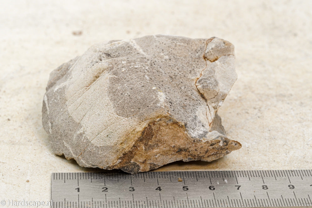 Elephant Skin Rock S70 - Hardscape.nl