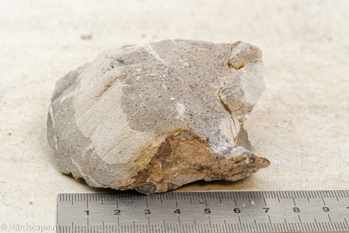 Elephant Skin Rock S70 - Hardscape.nl