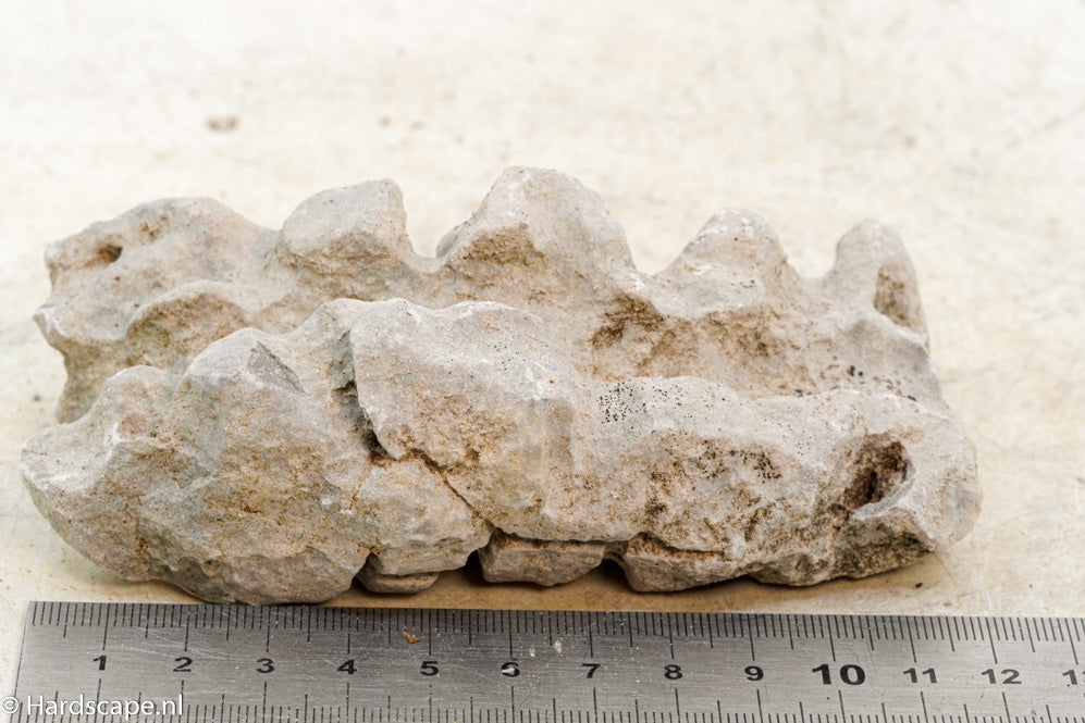 Elephant Skin Rock S72