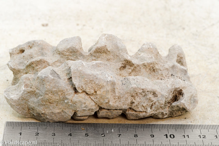 Elephant Skin Rock S72