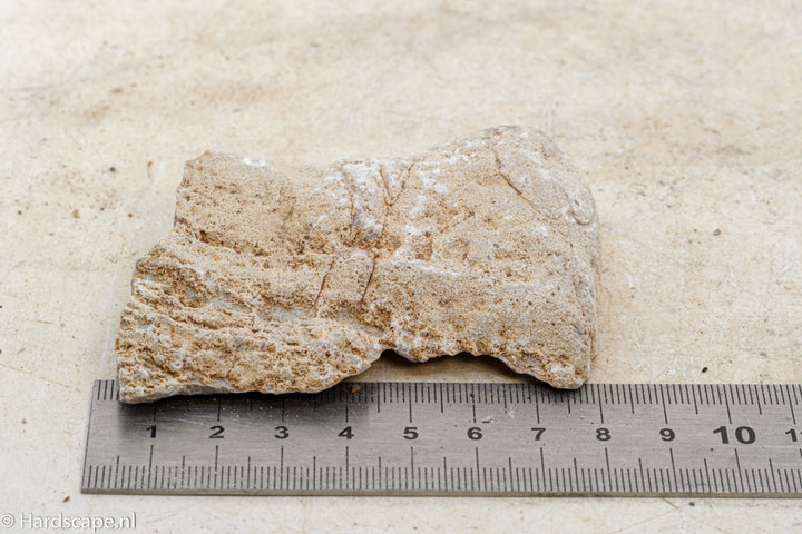 Elephant Skin Rock S79