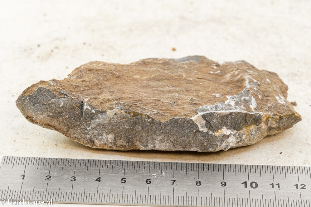 Elephant Skin Rock S81 - Hardscape.nl