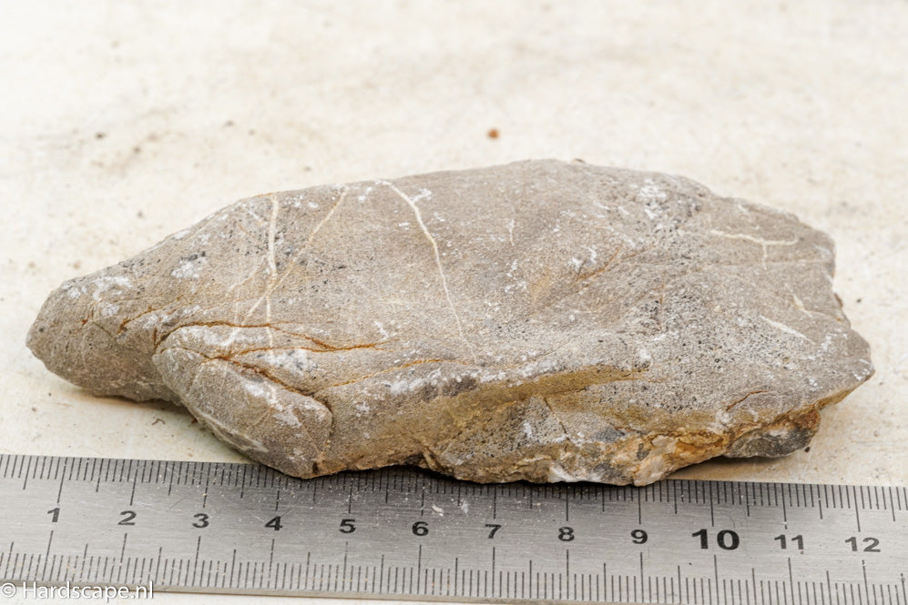 Elephant Skin Rock S81 - Hardscape.nl