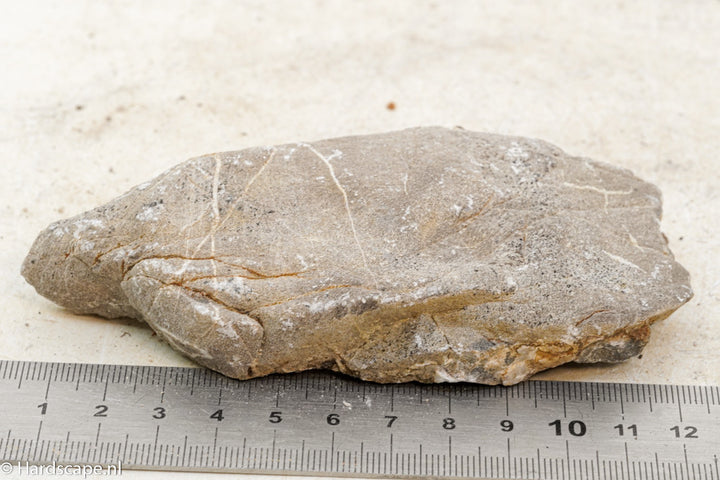 Elephant Skin Rock S81 - Hardscape.nl