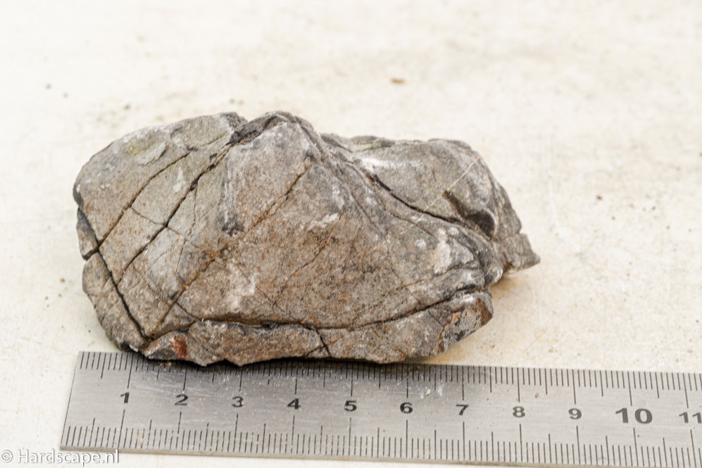 Elephant Skin Rock S84 - Hardscape.nl