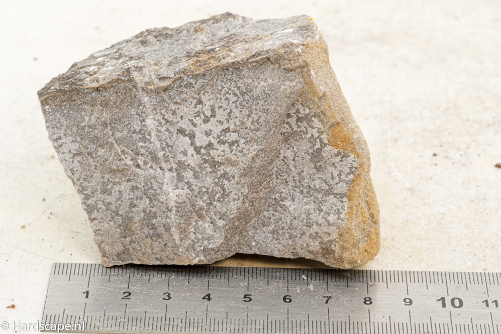 Elephant Skin Rock S85 - Hardscape.nl