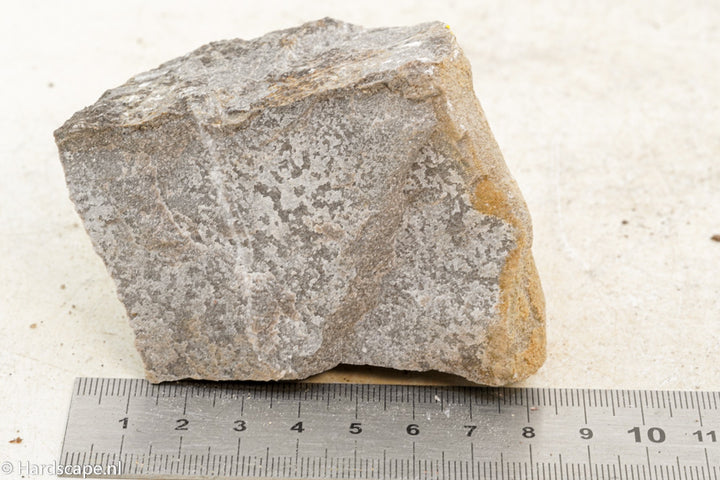 Elephant Skin Rock S85 - Hardscape.nl