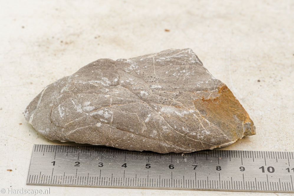 Elephant Skin Rock S86 - Hardscape.nl